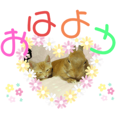 [LINEスタンプ] ベルちゃんとおにぃ