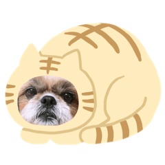 [LINEスタンプ] ぶる2