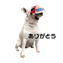 [LINEスタンプ] 愛しのフレブル5
