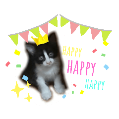 [LINEスタンプ] うちのごましお