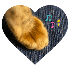 [LINEスタンプ] いち（ねこ）スタンプ
