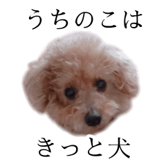 [LINEスタンプ] ビビり犬2 〜いつも自分に素直〜