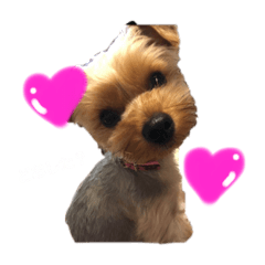 [LINEスタンプ] ショコラ1106②