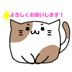 [LINEスタンプ] 丸い猫たち