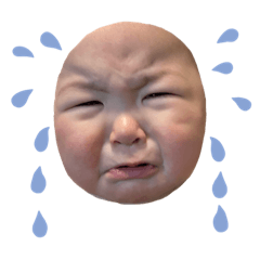 [LINEスタンプ] みーたんぷシリーズ