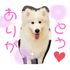 [LINEスタンプ] ZARAPart2