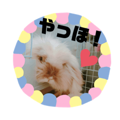 [LINEスタンプ] ほっしゃん(2)