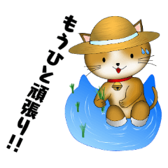 [LINEスタンプ] 柴猫茶々の毎日②