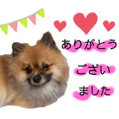 [LINEスタンプ] 芝＆ポメ 5