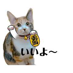 [LINEスタンプ] ミクと兄弟たち
