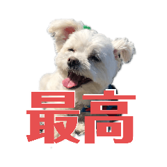 [LINEスタンプ] kid-bei