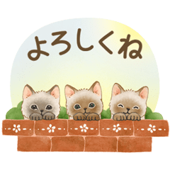 [LINEスタンプ] うごく☆猫たちのスタンプの画像（メイン）