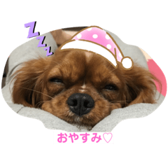 [LINEスタンプ] メロウのご機嫌スタンプ