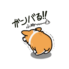 [LINEスタンプ] corgi-plus2