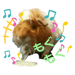 [LINEスタンプ] モルモットどんぐり