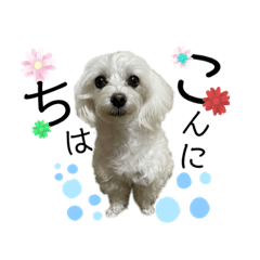 [LINEスタンプ] りんれんちゃんスタンプ