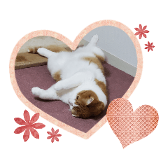 [LINEスタンプ] うめちゃ .4