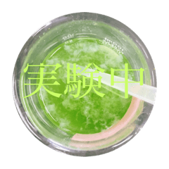 [LINEスタンプ] 丸い。