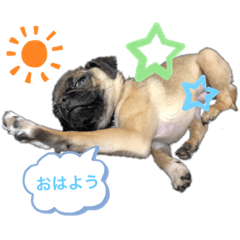 [LINEスタンプ] それいけ！諭吉様！