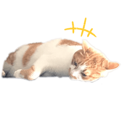 [LINEスタンプ] きなずんあん②