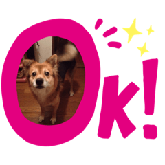 [LINEスタンプ] ドリームのスタンプ
