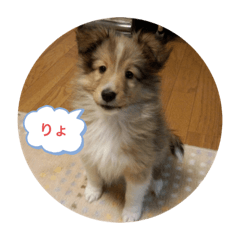 [LINEスタンプ] さすけの日常①