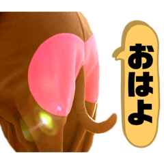 [LINEスタンプ] OSHIRIが語る物語