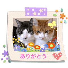 [LINEスタンプ] 猫＆ワンコ2