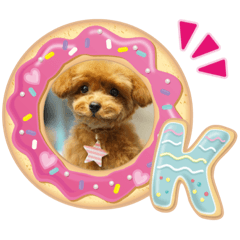 [LINEスタンプ] ティーカッププードルのミリちゃん！