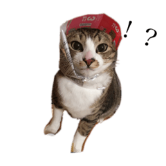 [LINEスタンプ] もっちのもちもちdays