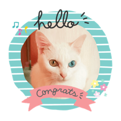[LINEスタンプ] なっちゃん＆みっくん