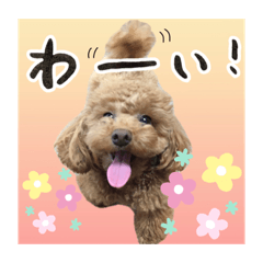 [LINEスタンプ] なっちゃんのだよU´•ﻌ•`U
