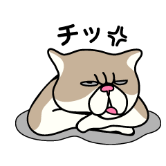 [LINEスタンプ] バラエティ猫詰め合わせ Vol.1
