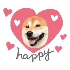 [LINEスタンプ] 集まれー