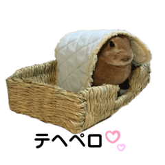 [LINEスタンプ] うさぎのPeach