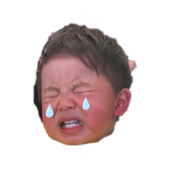 [LINEスタンプ] かわいいかっくん