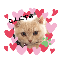 [LINEスタンプ] Latte①