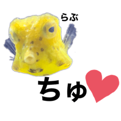 [LINEスタンプ] フグと時々熱帯魚✧︎*。
