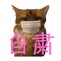 [LINEスタンプ] きららstay home