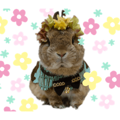 [LINEスタンプ] うさぎのあいと