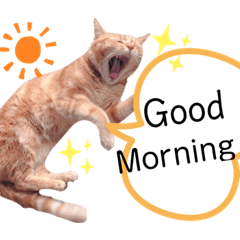 [LINEスタンプ] わたしベル