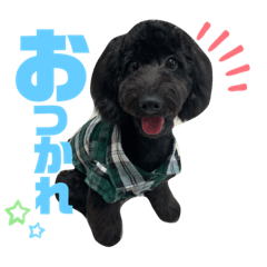 [LINEスタンプ] ひじきスタンプ第一弾