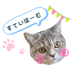 [LINEスタンプ] とまるのひじきな