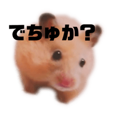 [LINEスタンプ] つよしでちゅ！！！