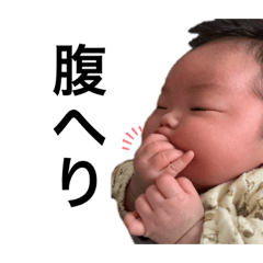 [LINEスタンプ] ひますたんぴ