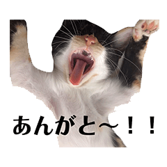 [LINEスタンプ] うにさまスタンプ
