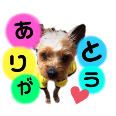 [LINEスタンプ] team ta2
