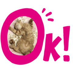 [LINEスタンプ] べべちょ❤︎