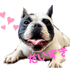 [LINEスタンプ] Rock french bulldog