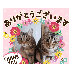 [LINEスタンプ] びっきなあんこ2